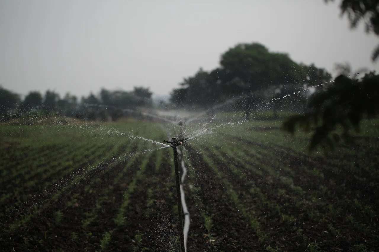 sprinkler, irrigation, water management, agriculture, water conservation, sustainability, farmland, sprinkler, sprinkler, sprinkler, sprinkler, sprinkler, irrigation, irrigation, irrigation, irrigation, water management, water management. What can a company honestly claim about its sustainability ethics?
