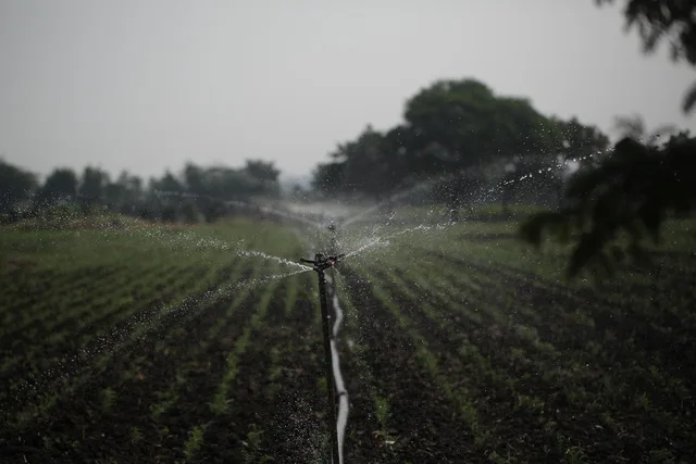 sprinkler, irrigation, water management, agriculture, water conservation, sustainability, farmland, sprinkler, sprinkler, sprinkler, sprinkler, sprinkler, irrigation, irrigation, irrigation, irrigation, water management, water management. What can a company honestly claim about its sustainability ethics?